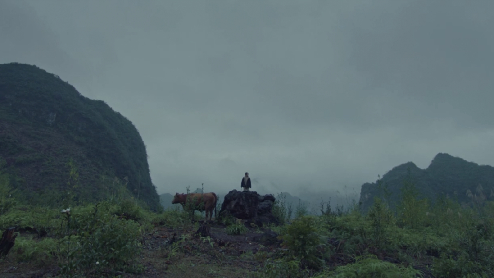 Xiaohui and His Cows Screenshot