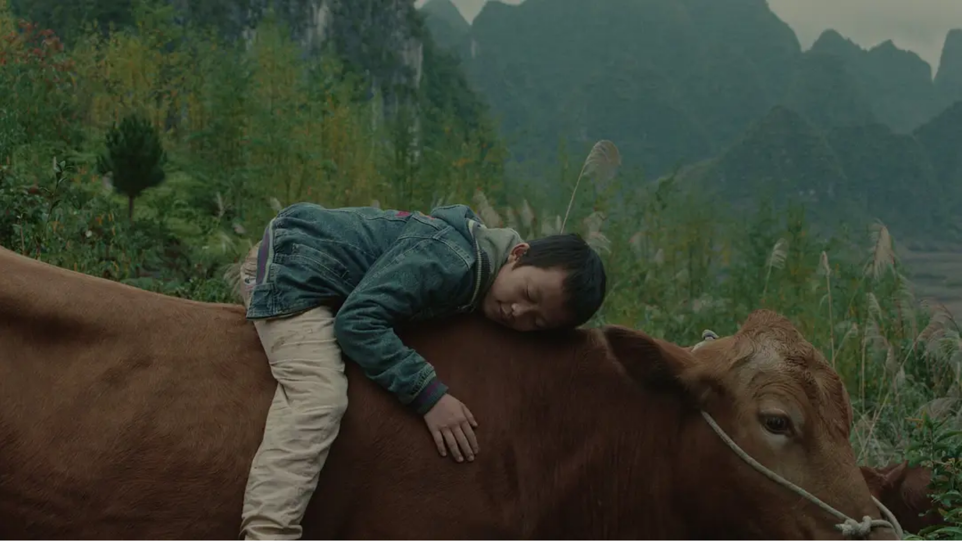 Xiaohui and His Cows Screenshot